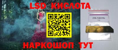 гашик Боровичи