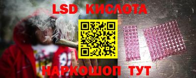 гашик Боровичи