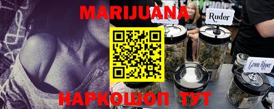 прущие грибы Брянск