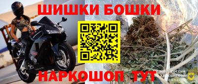 гашик Боровичи