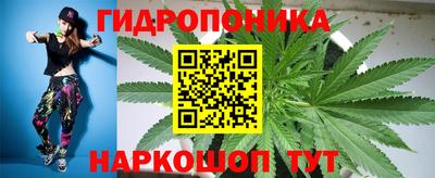 гашик Боровичи