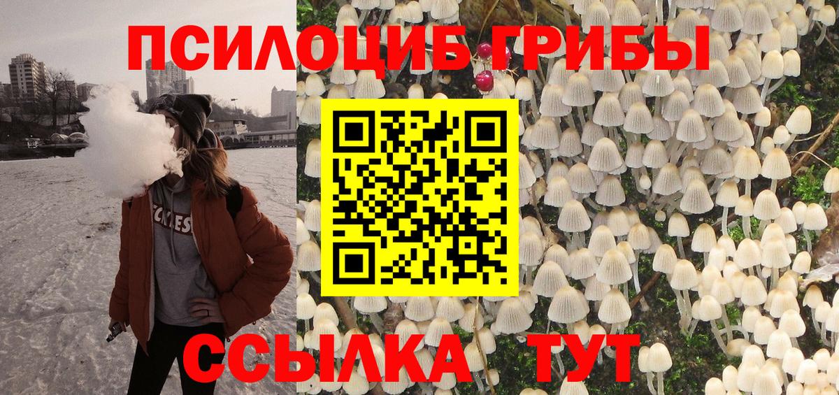 Псилоцибиновые грибы Psilocybe  Вход с VPN  Псилоцибиновые грибы мицелий  Кашира 